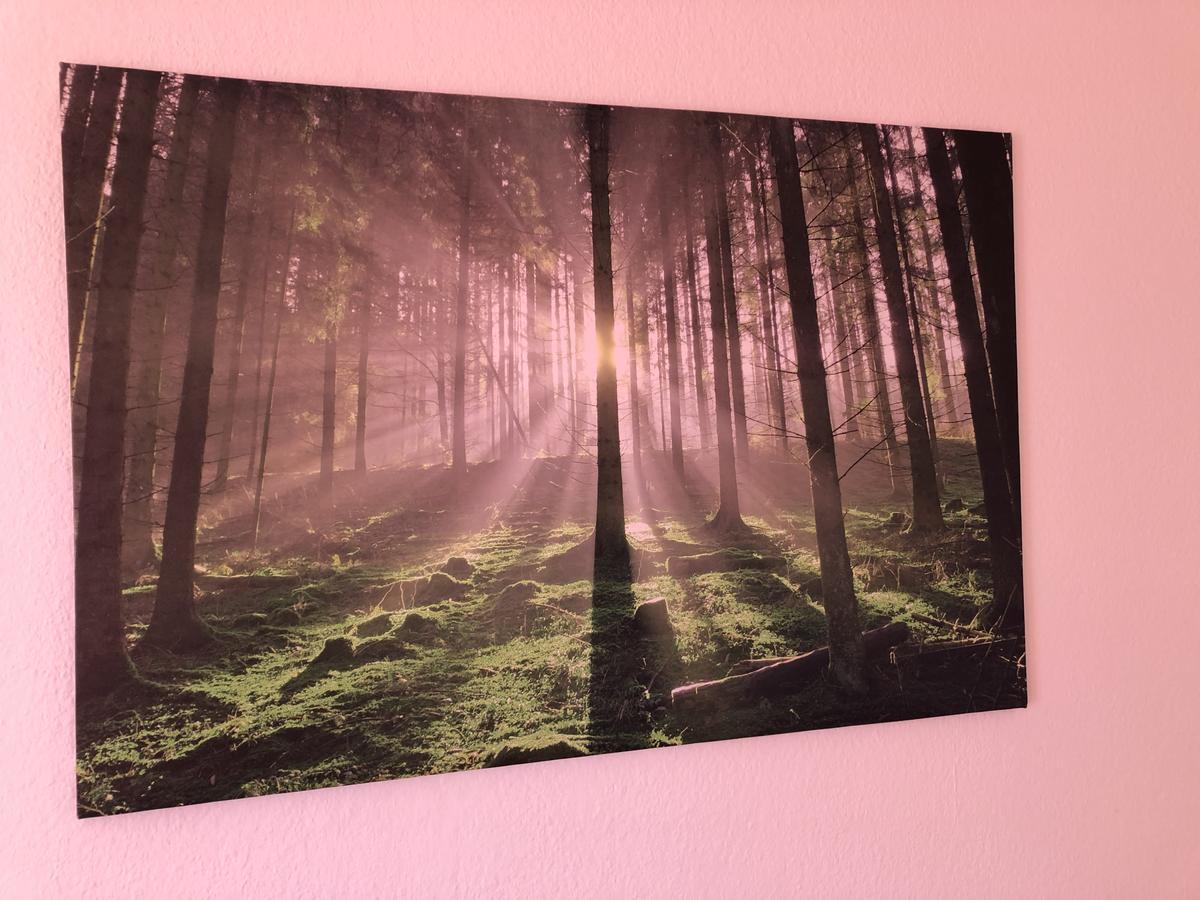 Appartement Redhouse Regensburg Kültér fotó